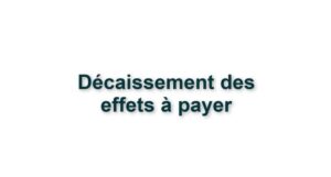 C2. DECAISSEMENT DES EFFETS A PAYER  