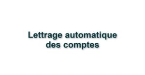 C2. LETTRAGE AUTOMATIQUE DES COMPTES