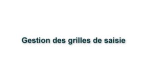 C1. GESTION DES GRILLES DE SAISIE 